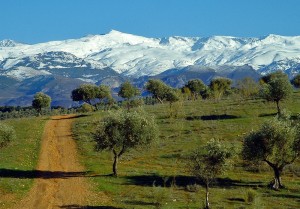 Perspectiva de Sierra Nevada